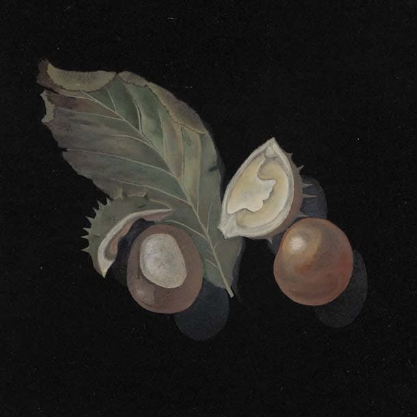 D28